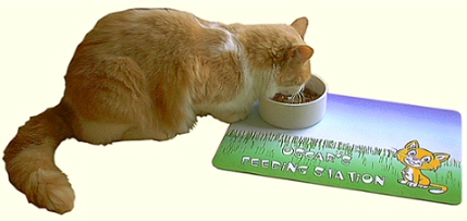 Custom Printed Cartoon Pet Mat